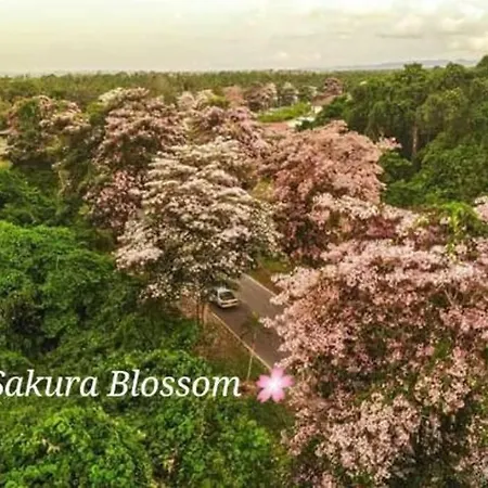Sakura Homestay 4 Bedrooms 14Pax- Eaton Hills Padang Kerbau Miri Exterior photo
