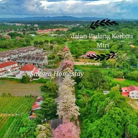 Sakura Homestay 4 Bedrooms 14Pax- Eaton Hills Padang Kerbau Miri Exterior photo