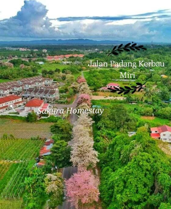 Sakura 4 Bedrooms 14pax- Eaton Hills Padang Kerbau Holiday home *